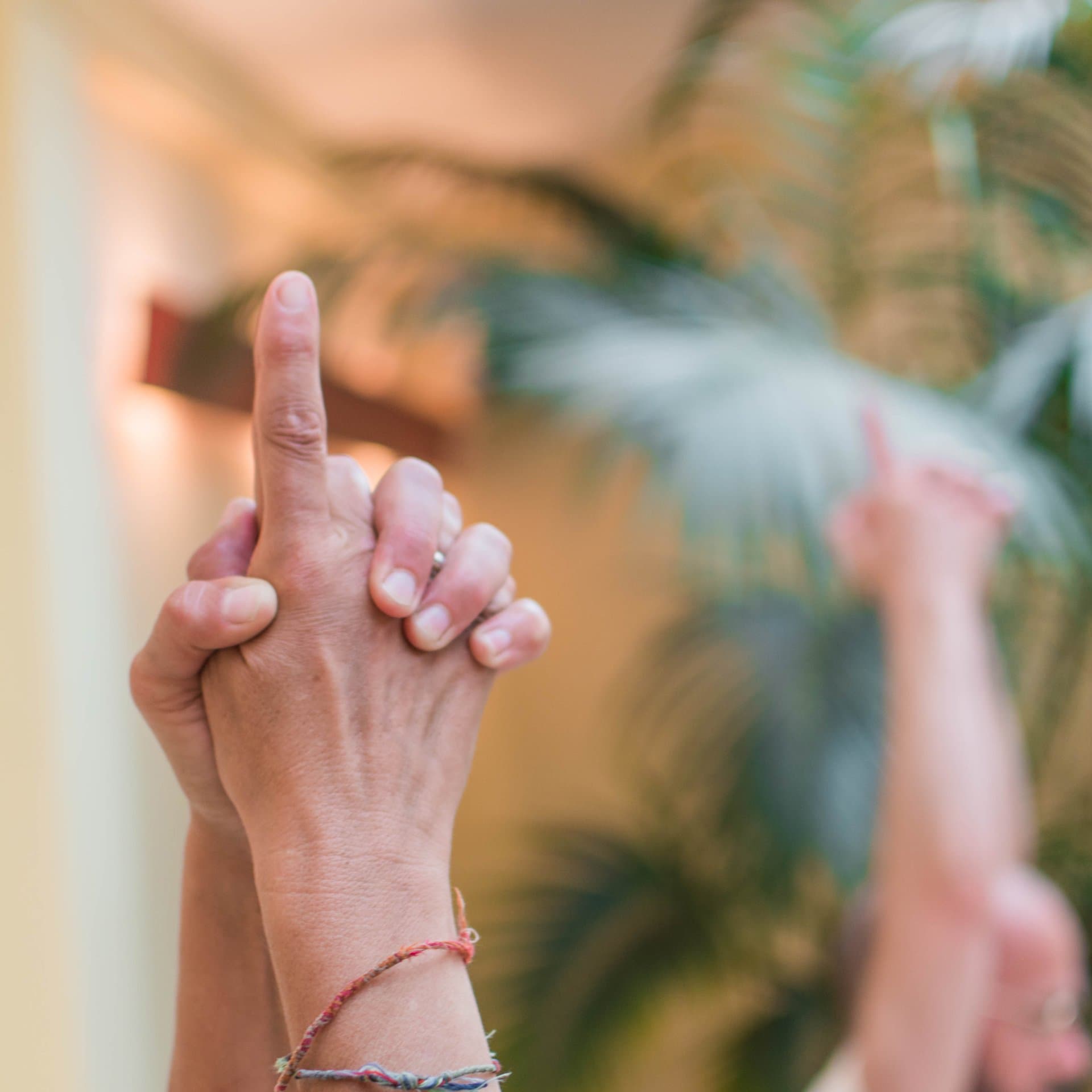 Wat is 'Sadhana' en waarom zou je het doen?